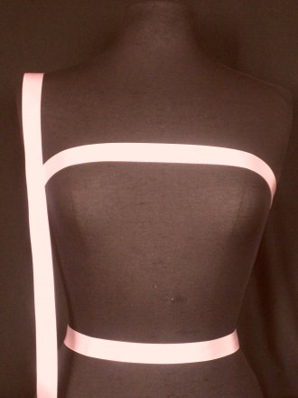 2 Metres Satin Ribbon Trim- Light Pink SY219 PN