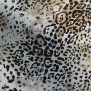 Animal Prints