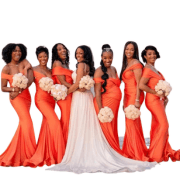 Bridal/ Bridesmaid Fabric