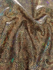 Hologram Rainbow Foil Stretch Spandex - Golden Fever HMLYC70 GLDBK
