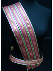 Pink & Lime Paisley Trimming