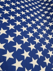 Printed Swimwear Lycra 4 Way Stretch Fabric- American All Stars SQ607 RBLWHT