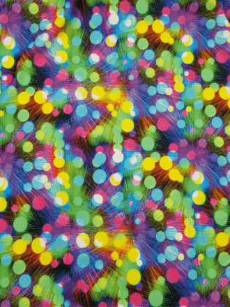 Printed Swimwear Lycra 4 Way Stretch Fabric- Multi Feathers SQ581 MLT