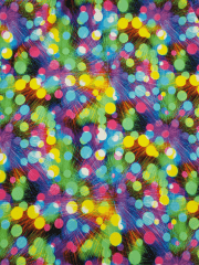 Printed Swimwear Lycra 4 Way Stretch Fabric- Multi Feathers SQ581 MLT