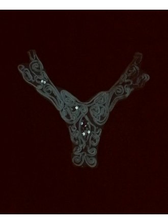 White Embroidered Silver Sequin Net Neck Piece