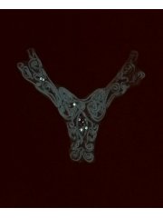 White Embroidered Silver Sequin Net Neck Piece