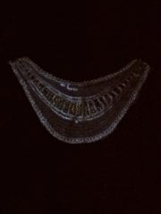White With Gold Sequin Net Neck Piece